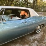 68 Chevy Impala Wedding
